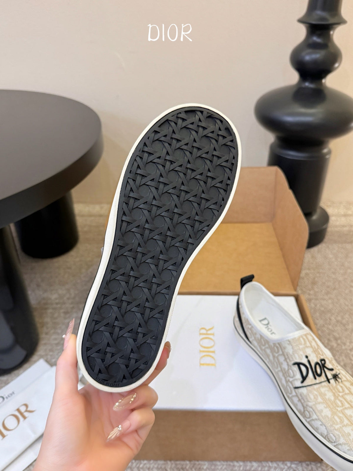 DIOR 26S WALK'N'DIOR SLIP-ON SNEAKERS IN MULTICOLOR DIOR OBLIQUE EMBROIDERED CANVAS STYLE 05