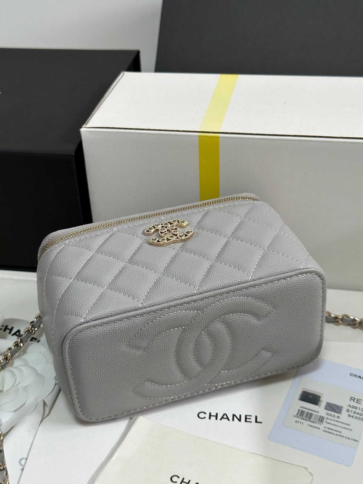 VANITY CASE 17 CRYSTAL STUDDED LOGO IN GREY CALFSKIN GOLD HARDWARE