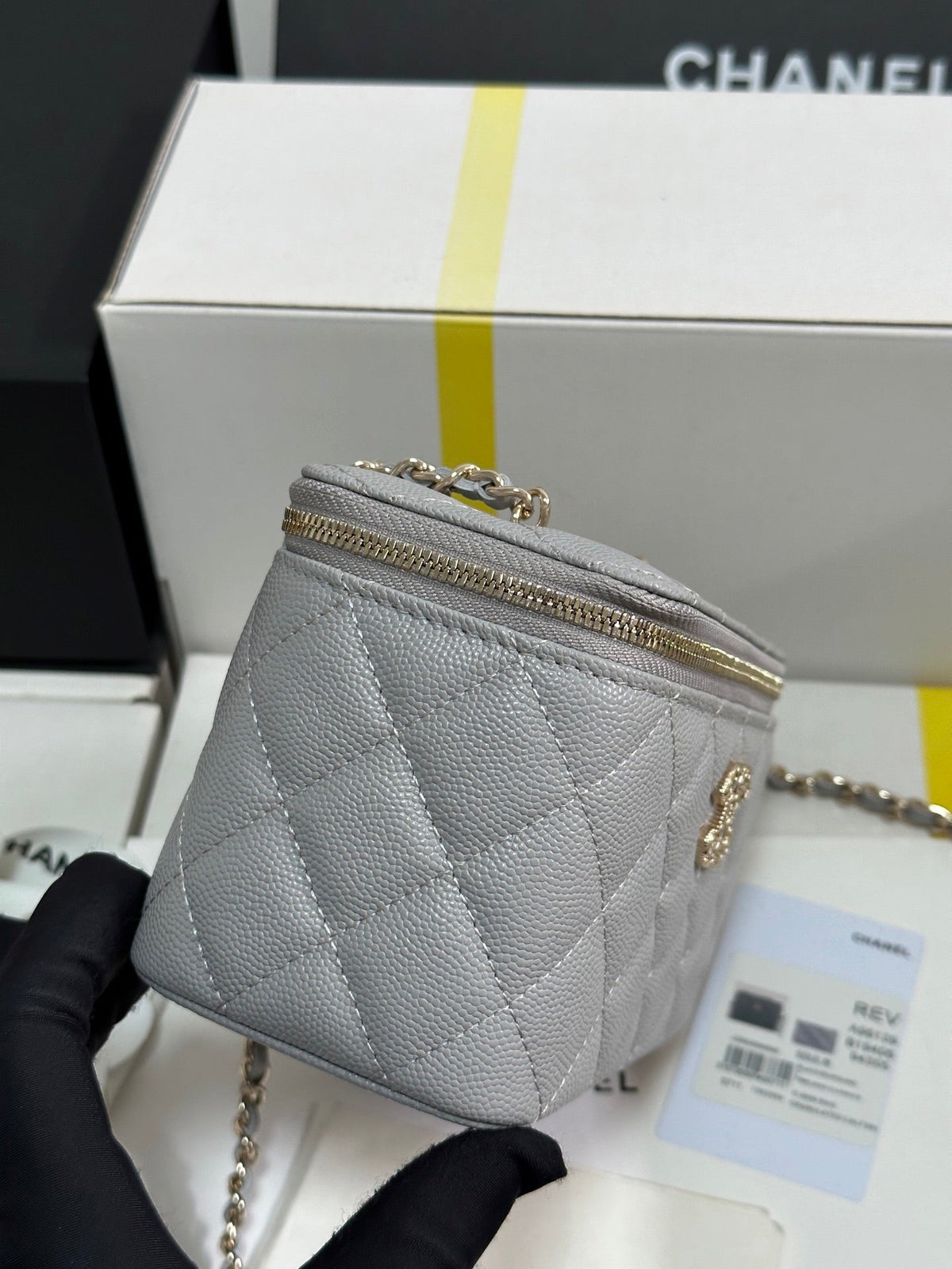 VANITY CASE 17 CRYSTAL STUDDED LOGO IN GREY CALFSKIN GOLD HARDWARE